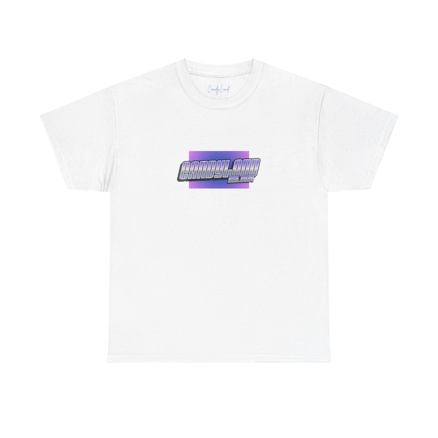 EST.2024 80' Vibes +C. OVERSIZED T-Shirt