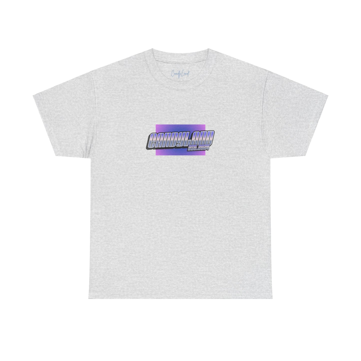 EST.2024 80' Vibes +C. OVERSIZED T-Shirt