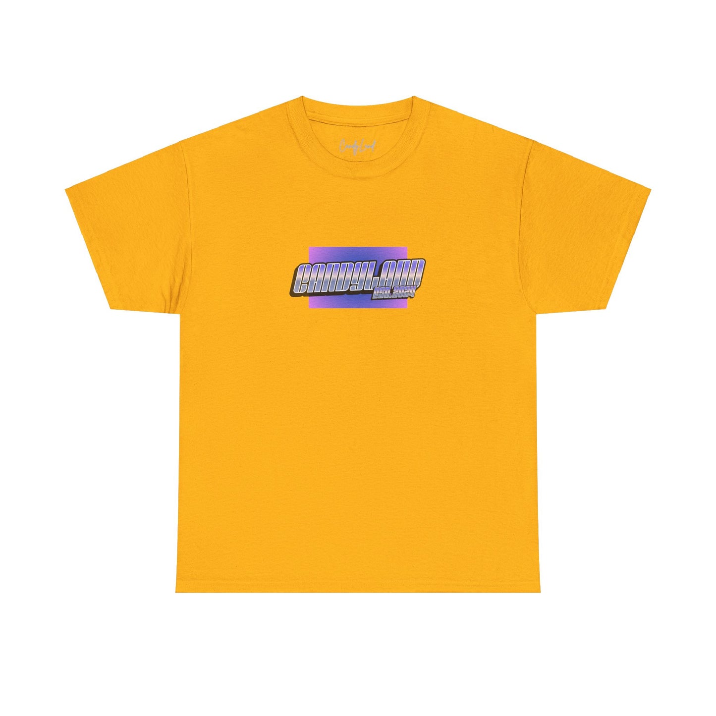 EST.2024 80' Vibes +C. OVERSIZED T-Shirt